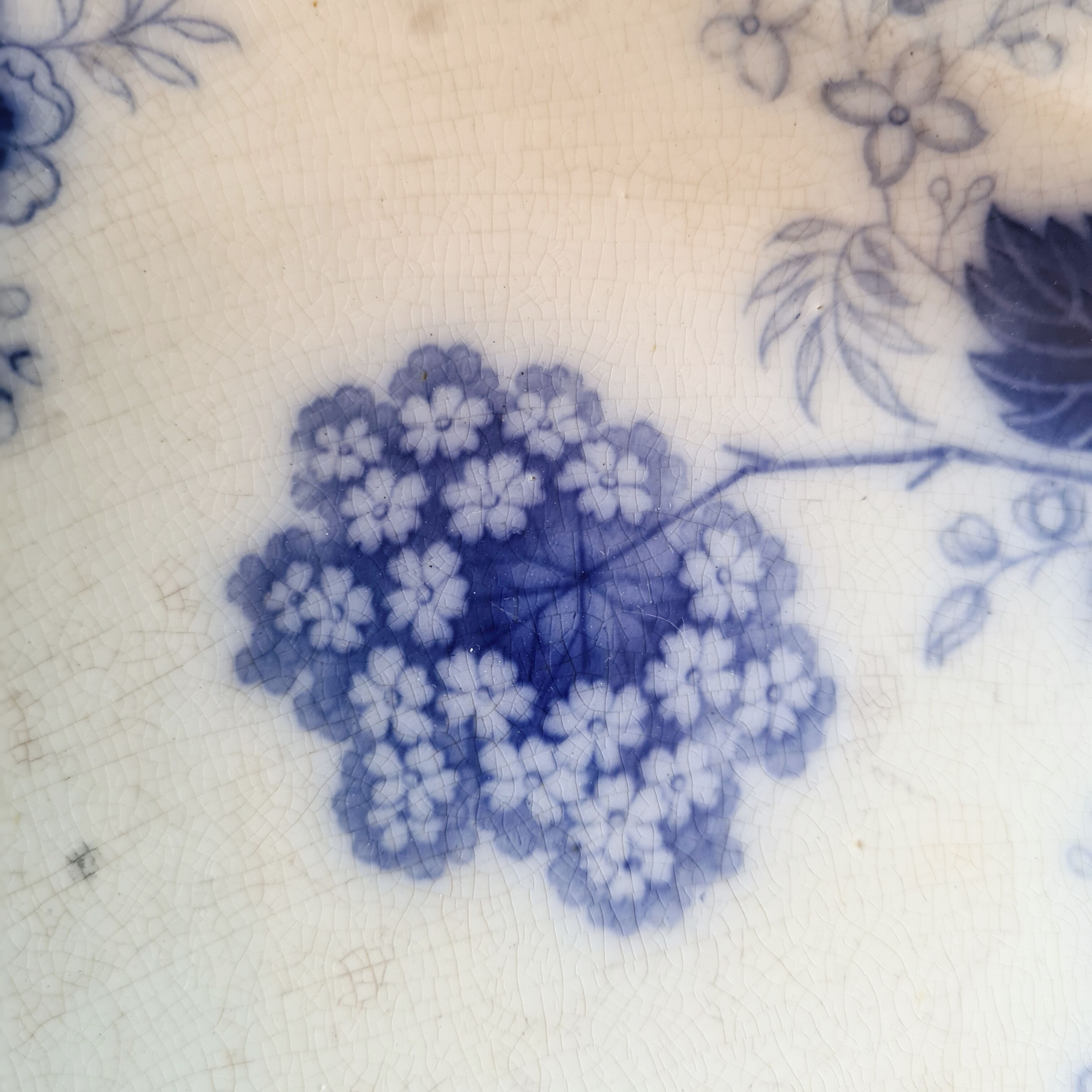 Ancient iron flat Wood and Brownfield England model Verbena blue around 1845