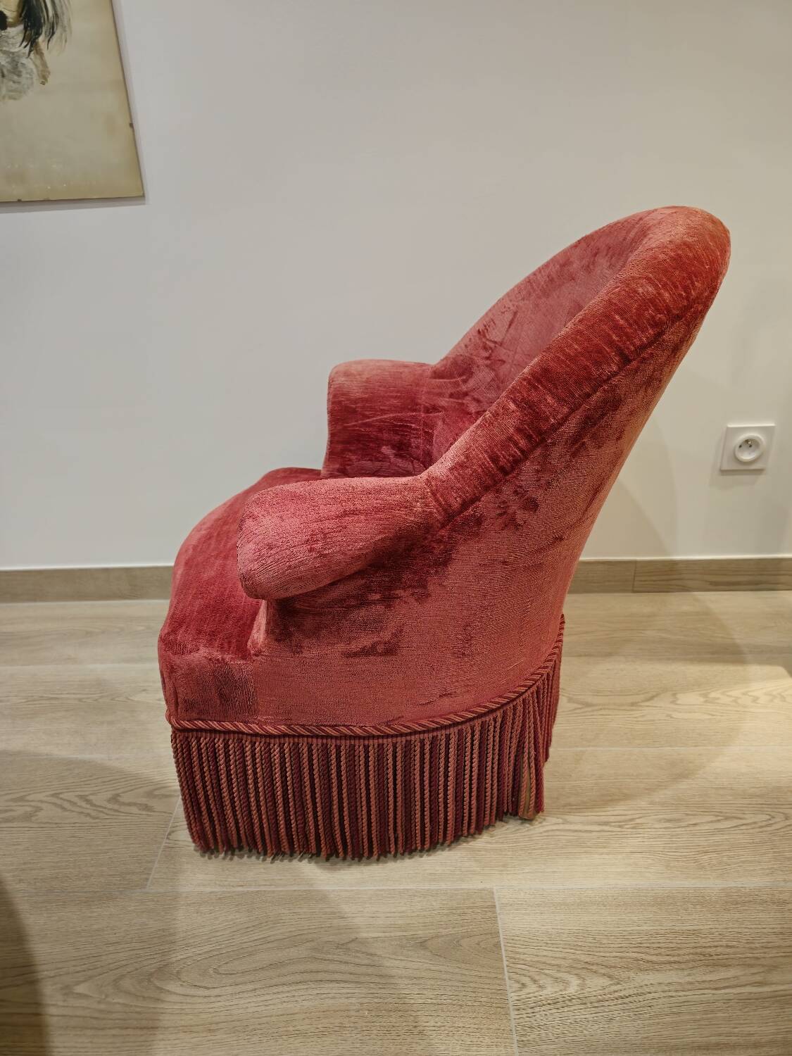 Burgundy velvet toad