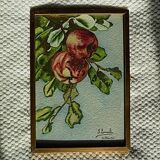 Set of 2 apple and cherry watercolors, framed