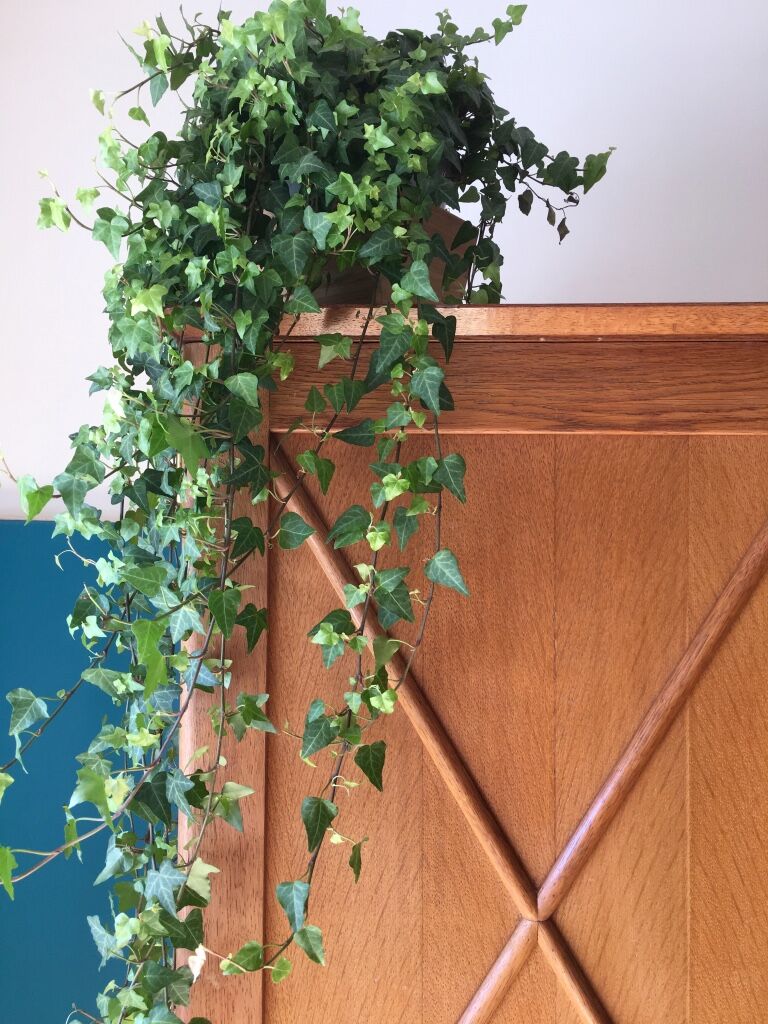 Vintage cabinet feet compass