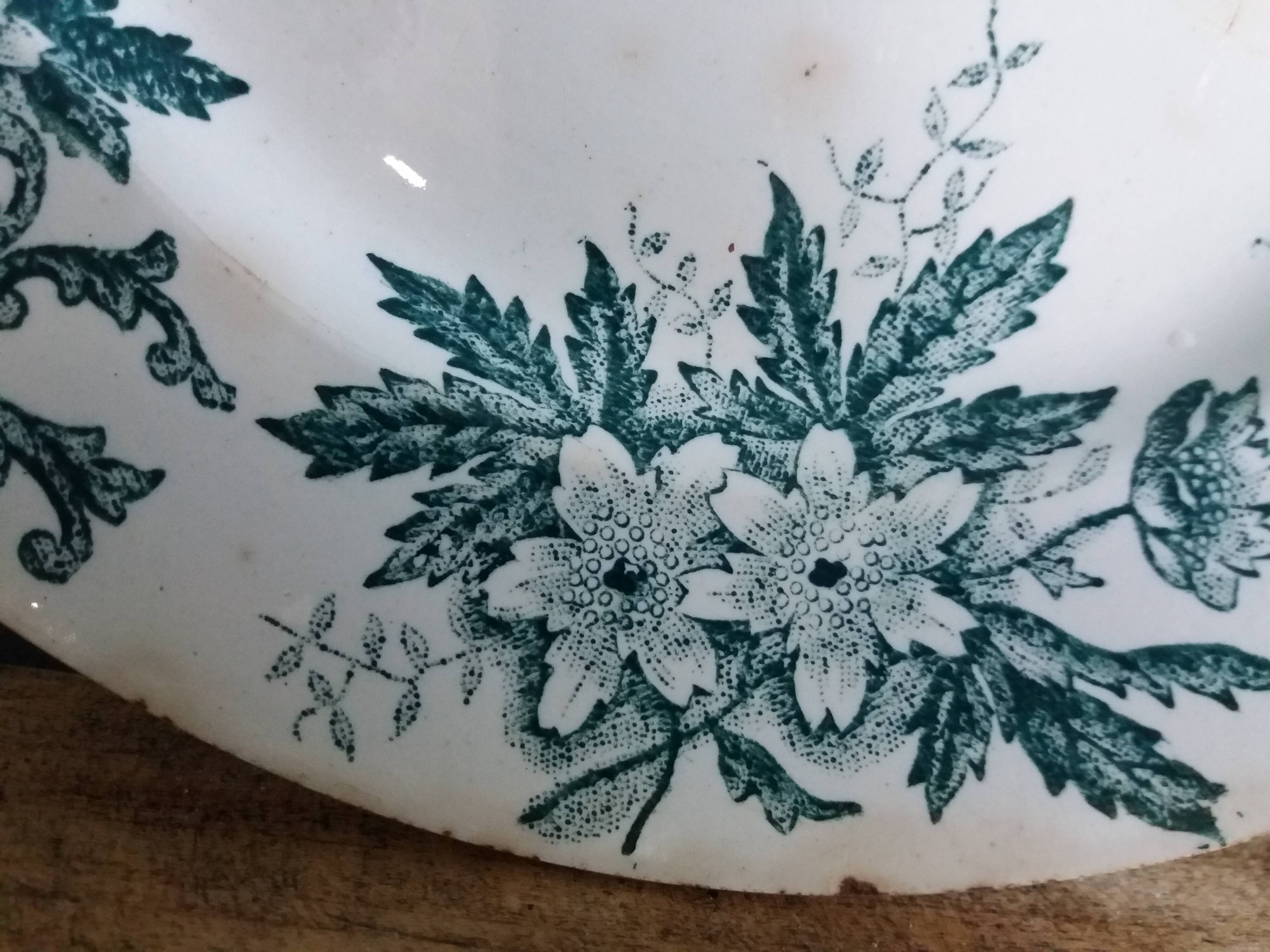 Saint-Amand ironstone dinner plate with anemone green decoration