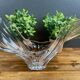 Coupe en verre vintage forme libre – plat décoratif design