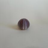 Sea urchin entomology