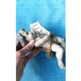 Golden white wooden cherub