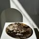 Dish in petrified wood