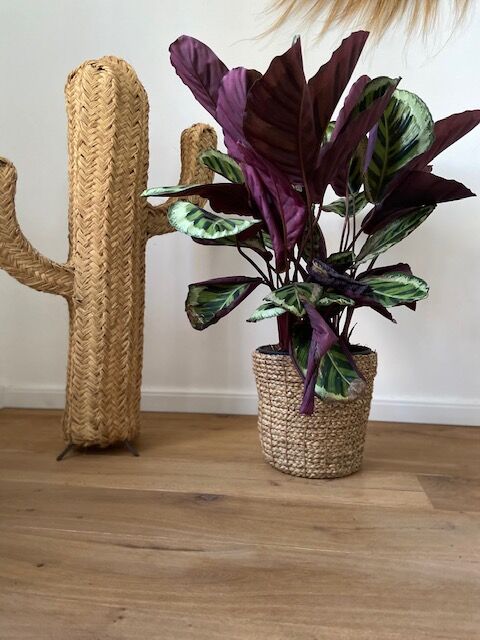 Cactus decorative fait a la main