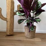 Cactus decorative fait a la main