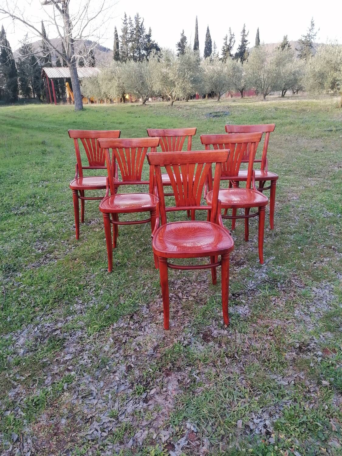 Set of 6 vintage bentwood bistro chairs