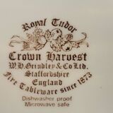 8 English deep plates Royal Tudor Crown Harvest