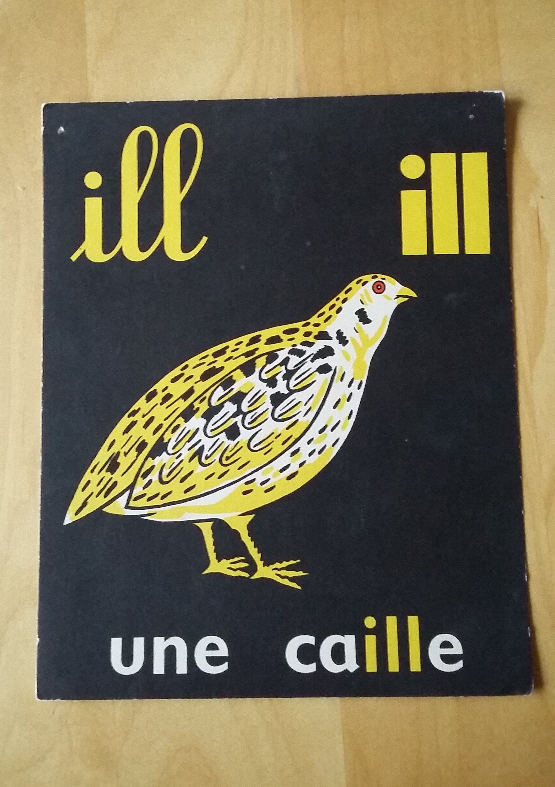 Quail, reading image