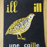 Quail, reading image