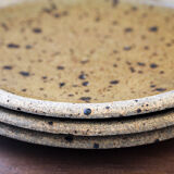 Set of 4 pyrite stoneware plates