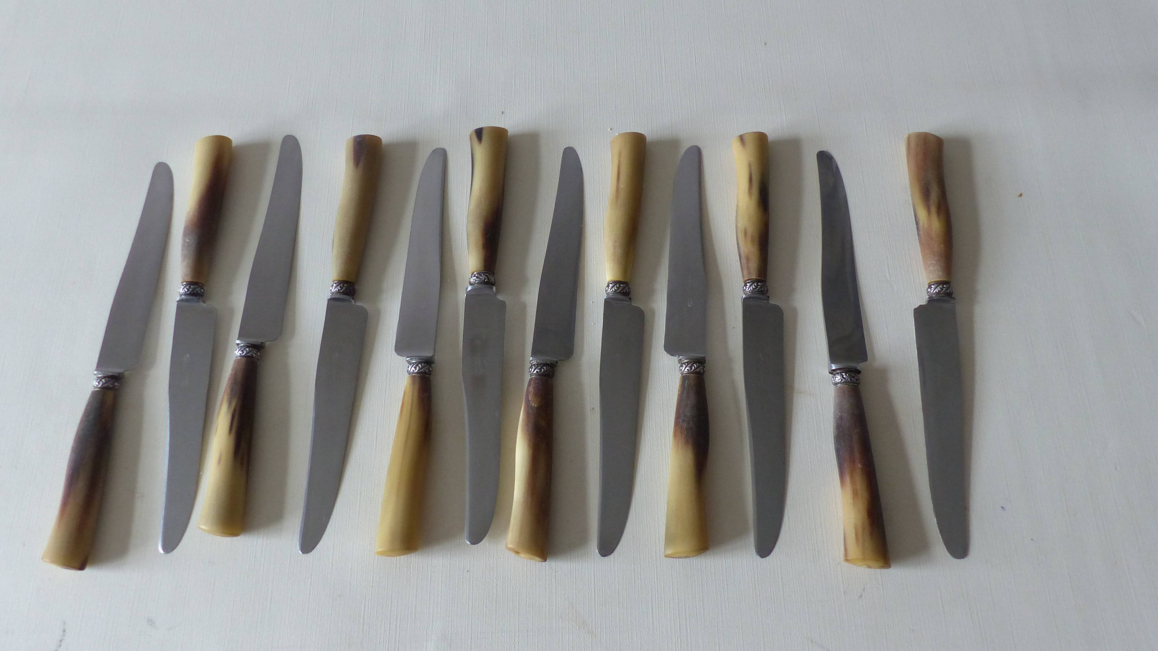 Box of 12 horn knives