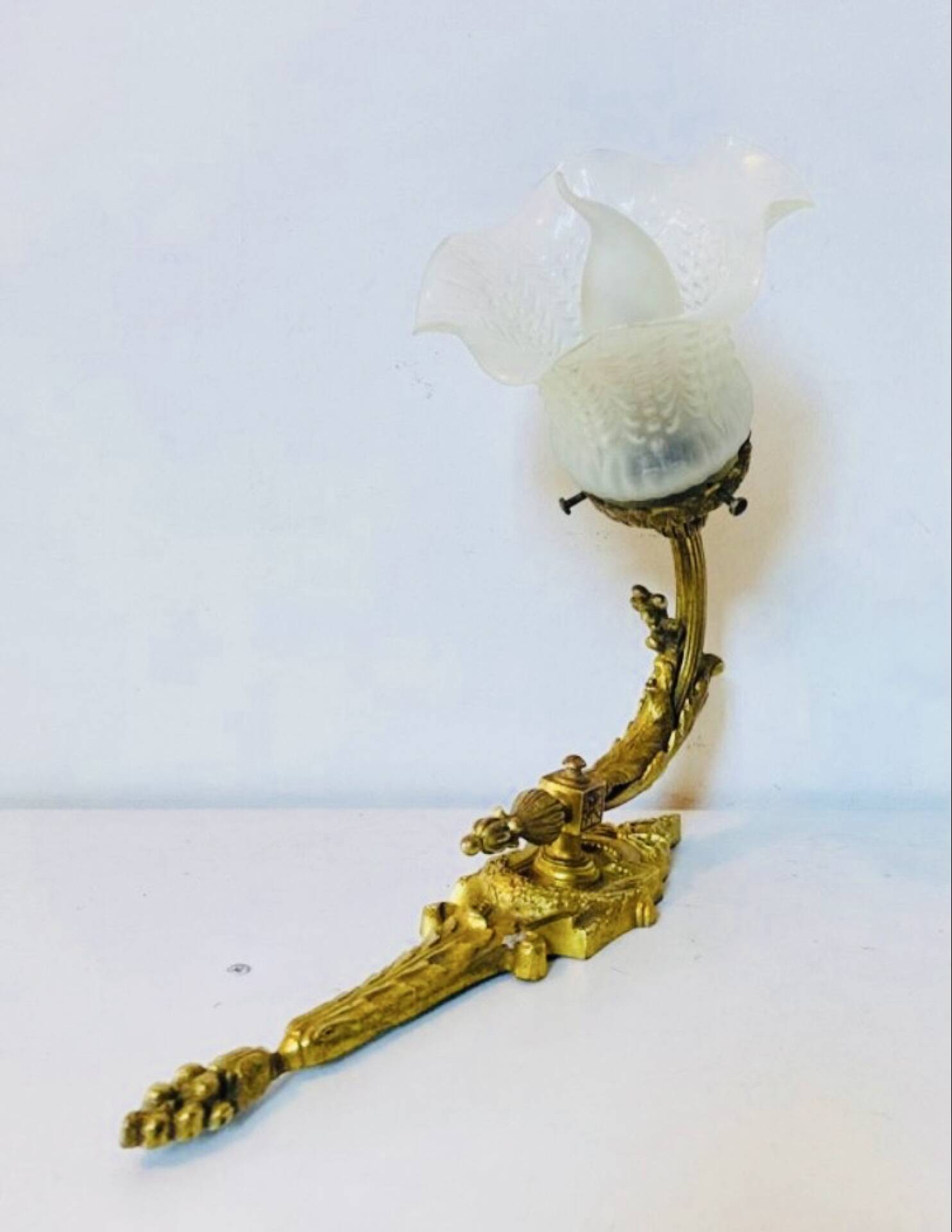St Louis XVI wall light in solid gilded bronze + fluted glass tulip