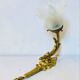 St Louis XVI wall light in solid gilded bronze + fluted glass tulip