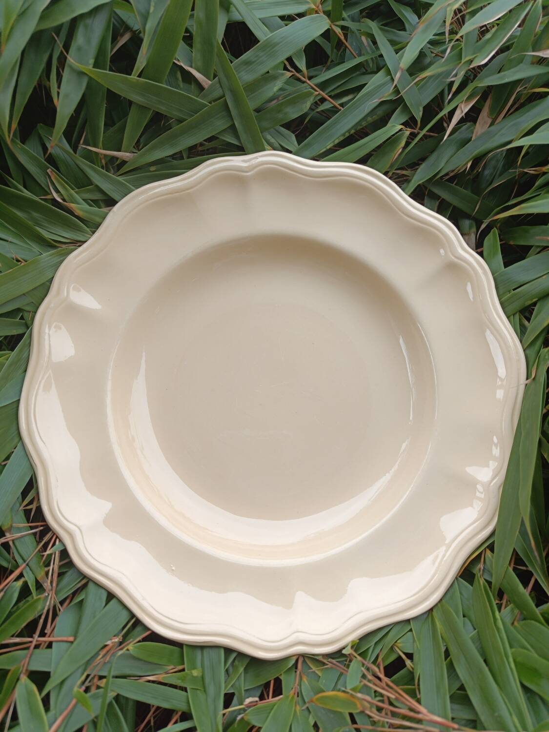 Sarreguemines ivory plates