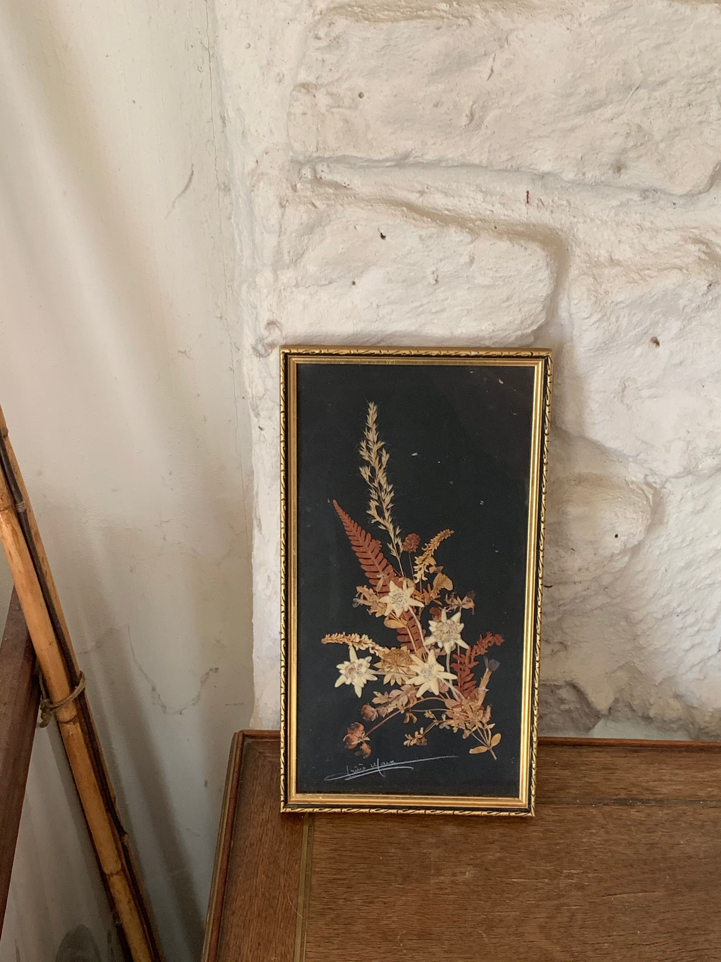 Cadre herbier fleurs séchées et edelweiss vintage