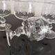 Set of 7 port glasses on crystal legs decorated with grapes and vine branches Luminarc