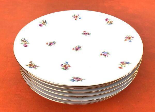 6 assiettes creuses anciennes  Porcelaine P.N France