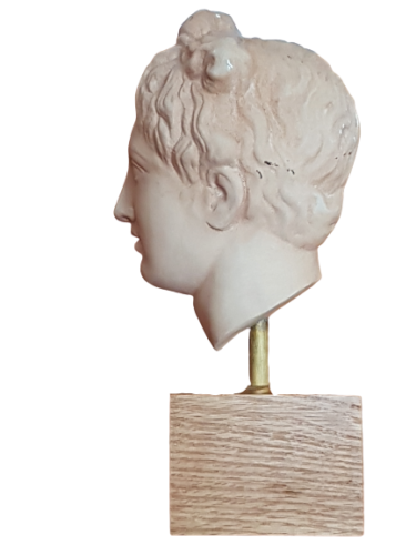 Head to the antique plaster