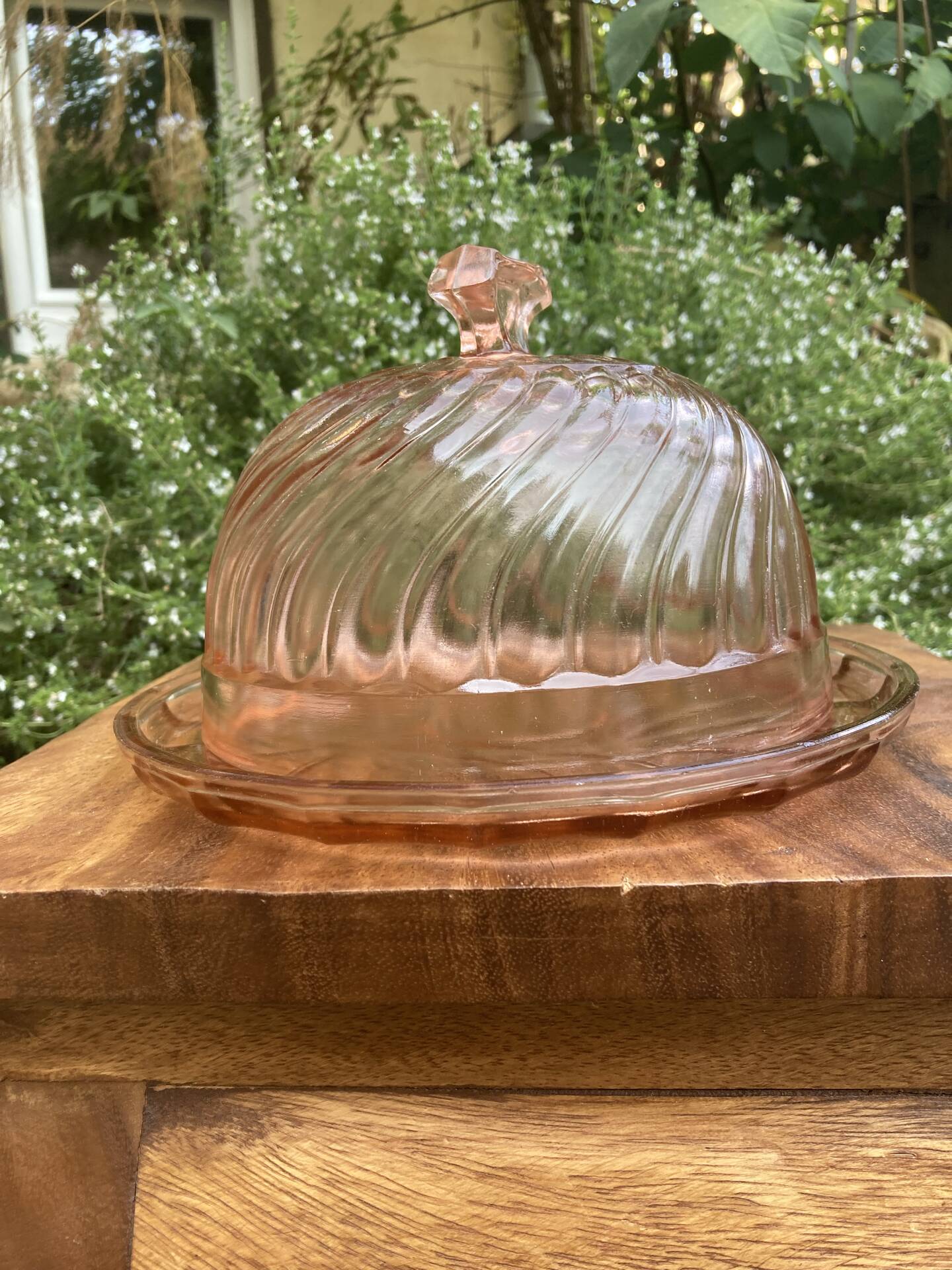 Cheese dome in Rosaline