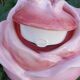 Théière en forme de rose