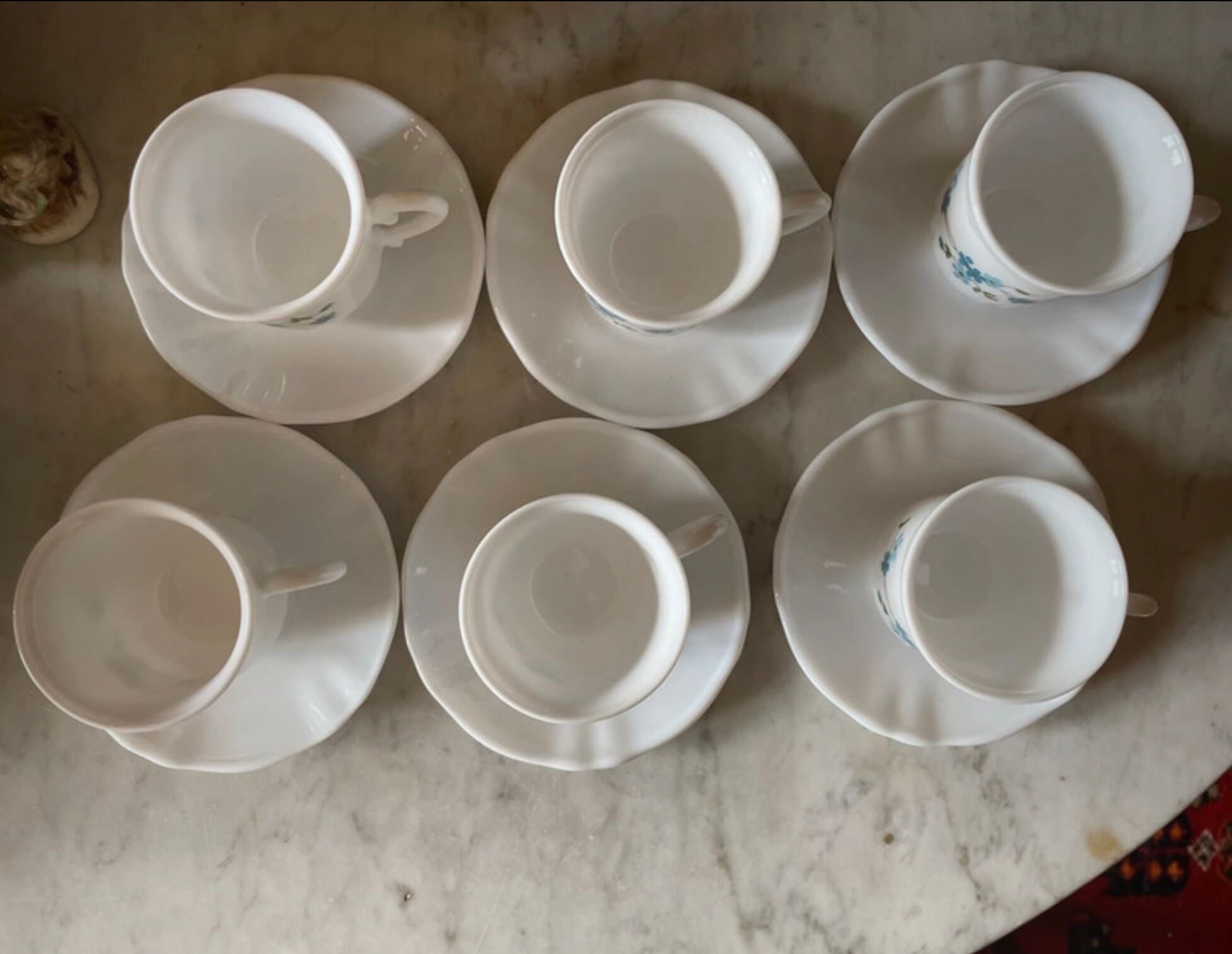 Coffee service Forget-me-not Arcopal