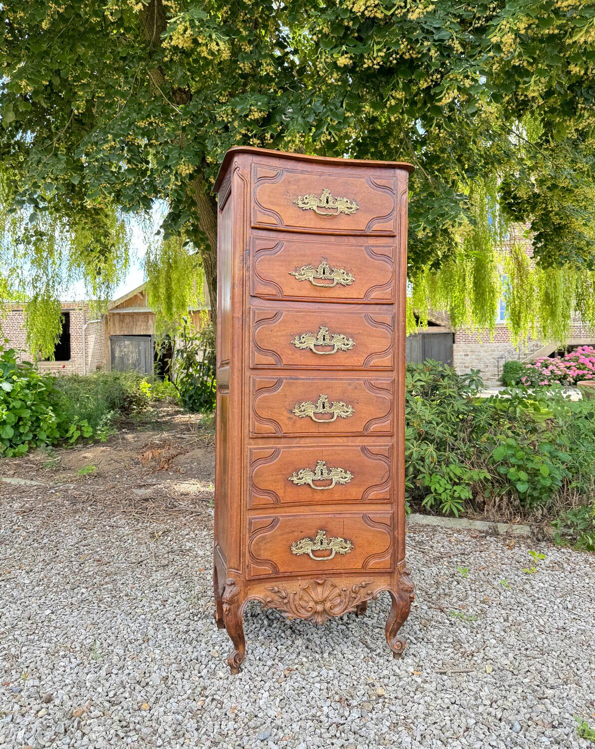 Chiffonnier En Noyer De Style Régence XIX Eme Siècle