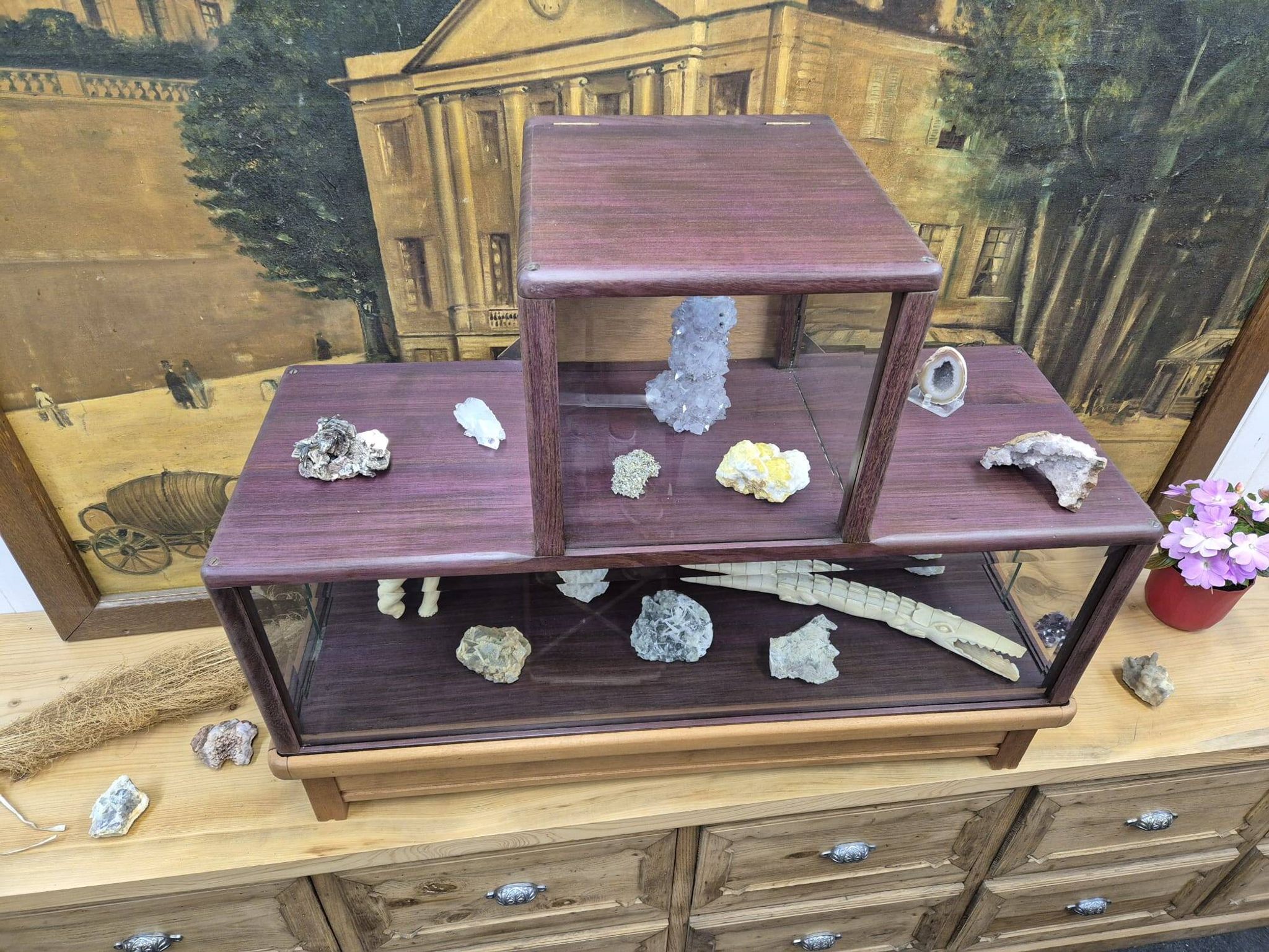 Antique amaranth display cabinet from the 1930s.