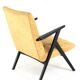 mid century modern vintage Armchair 'De Lier' - fully restored