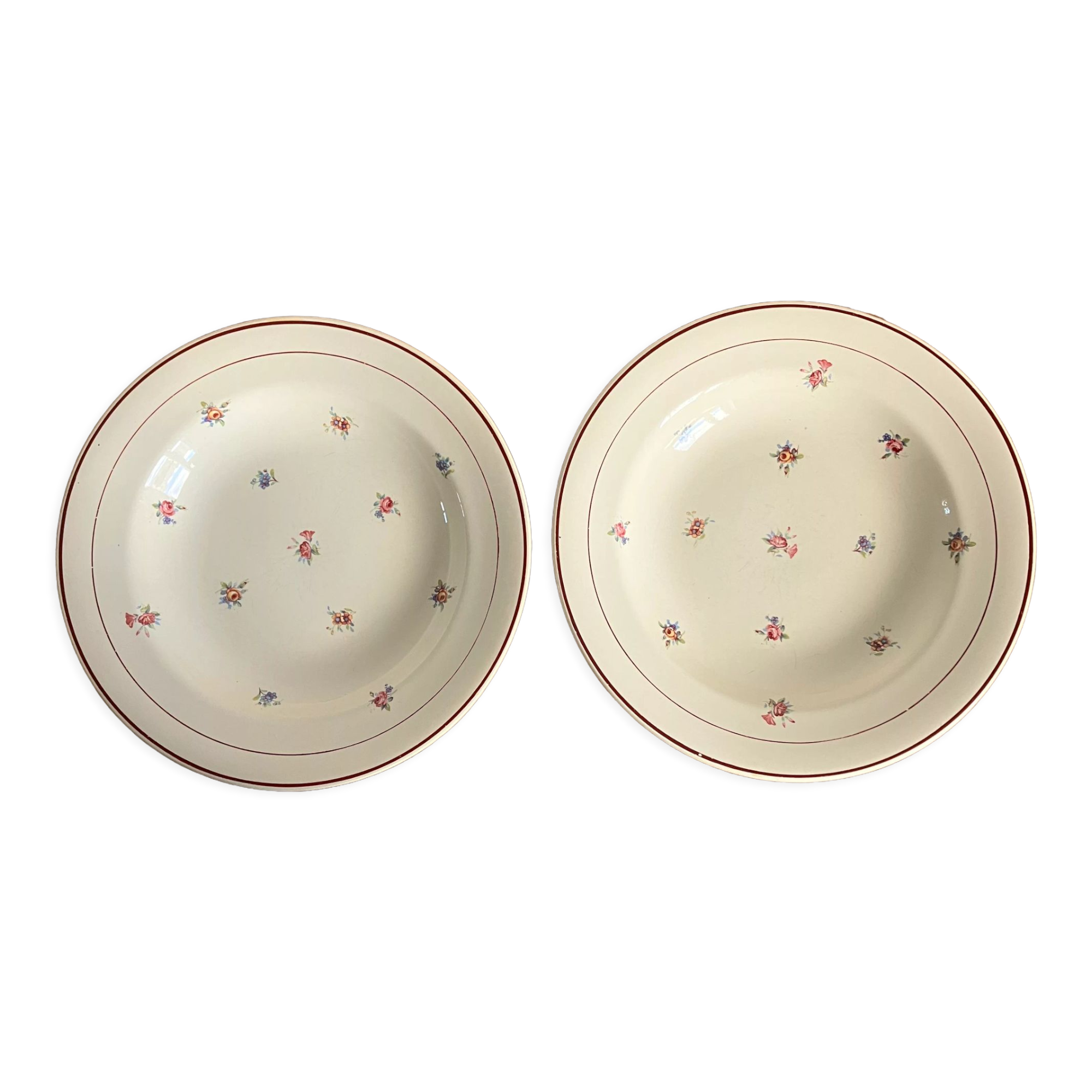 2 hollow plates Salins floral décor