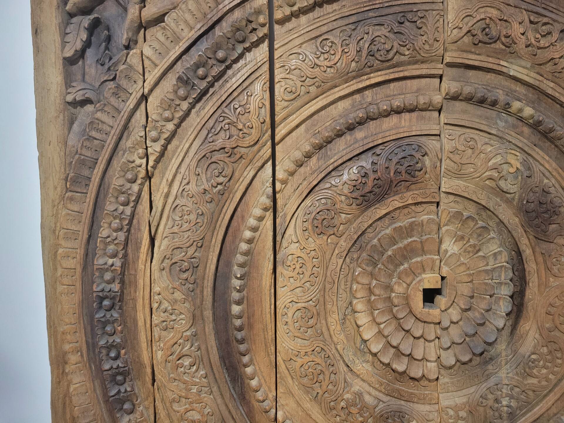 Carved wooden ceiling Curiosity cabinet 155×194cm