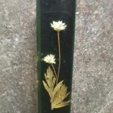 Knife holders in bakelite and gold leaf