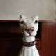 Ceramic dog 1960 vintage
