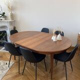 Extendable Scandinavian table