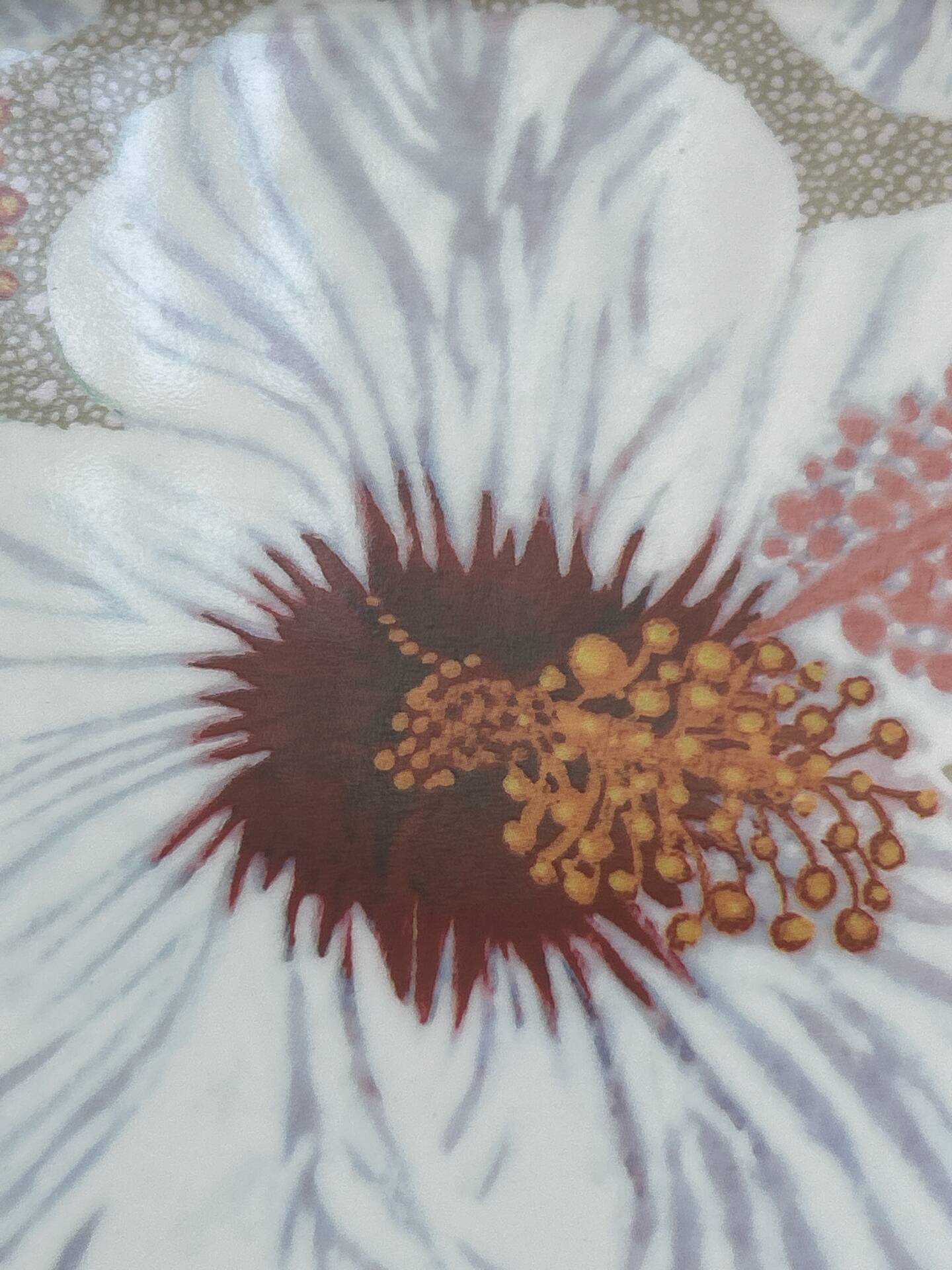 Raynaud Limoges "Exquisite Flowers" Hibiscus Porcelain Dish Tray b