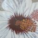 Raynaud Limoges "Exquisite Flowers" Hibiscus Porcelain Dish Tray b