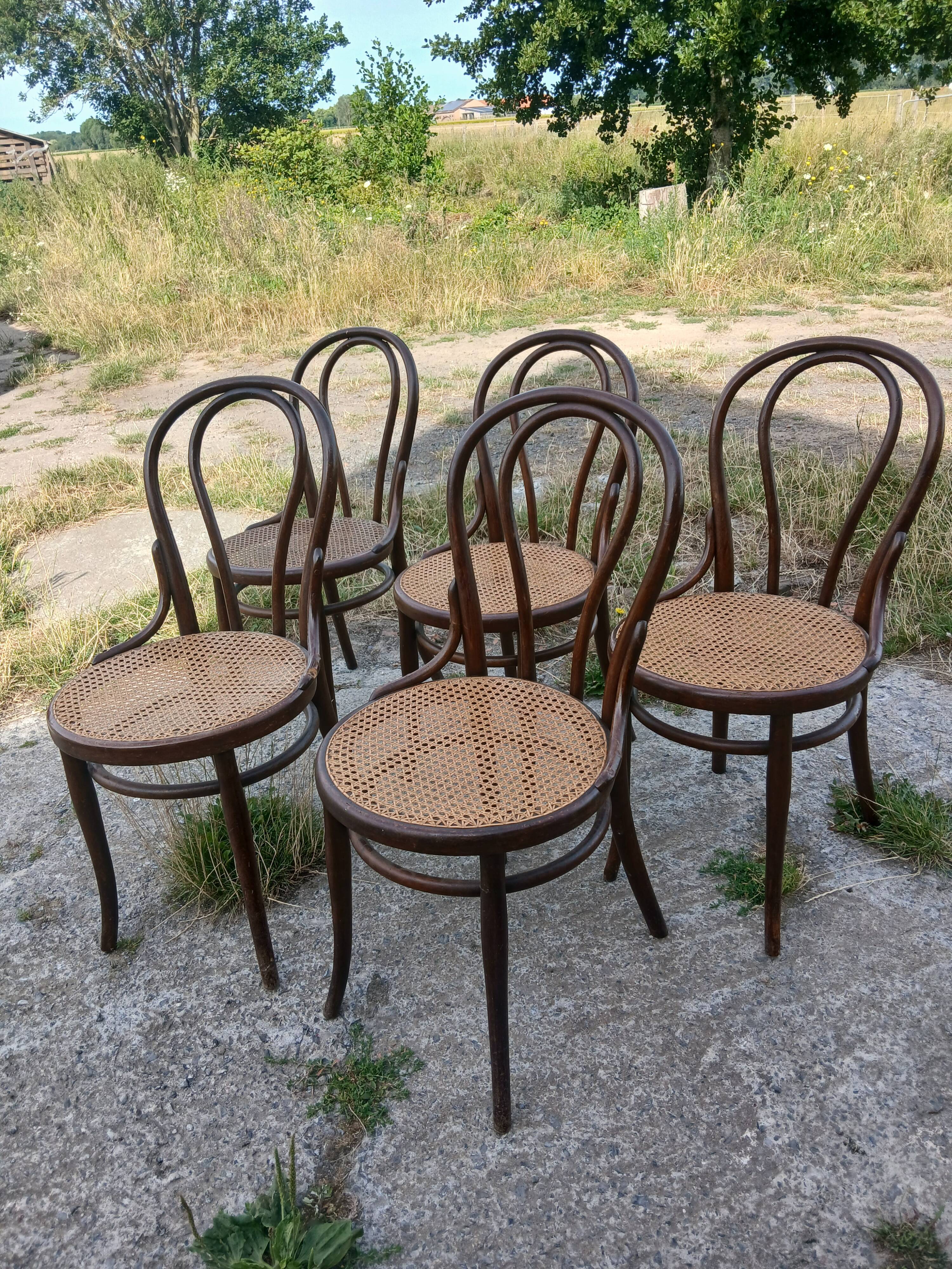 Chaises Thonet
