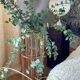 Rattan plant holder