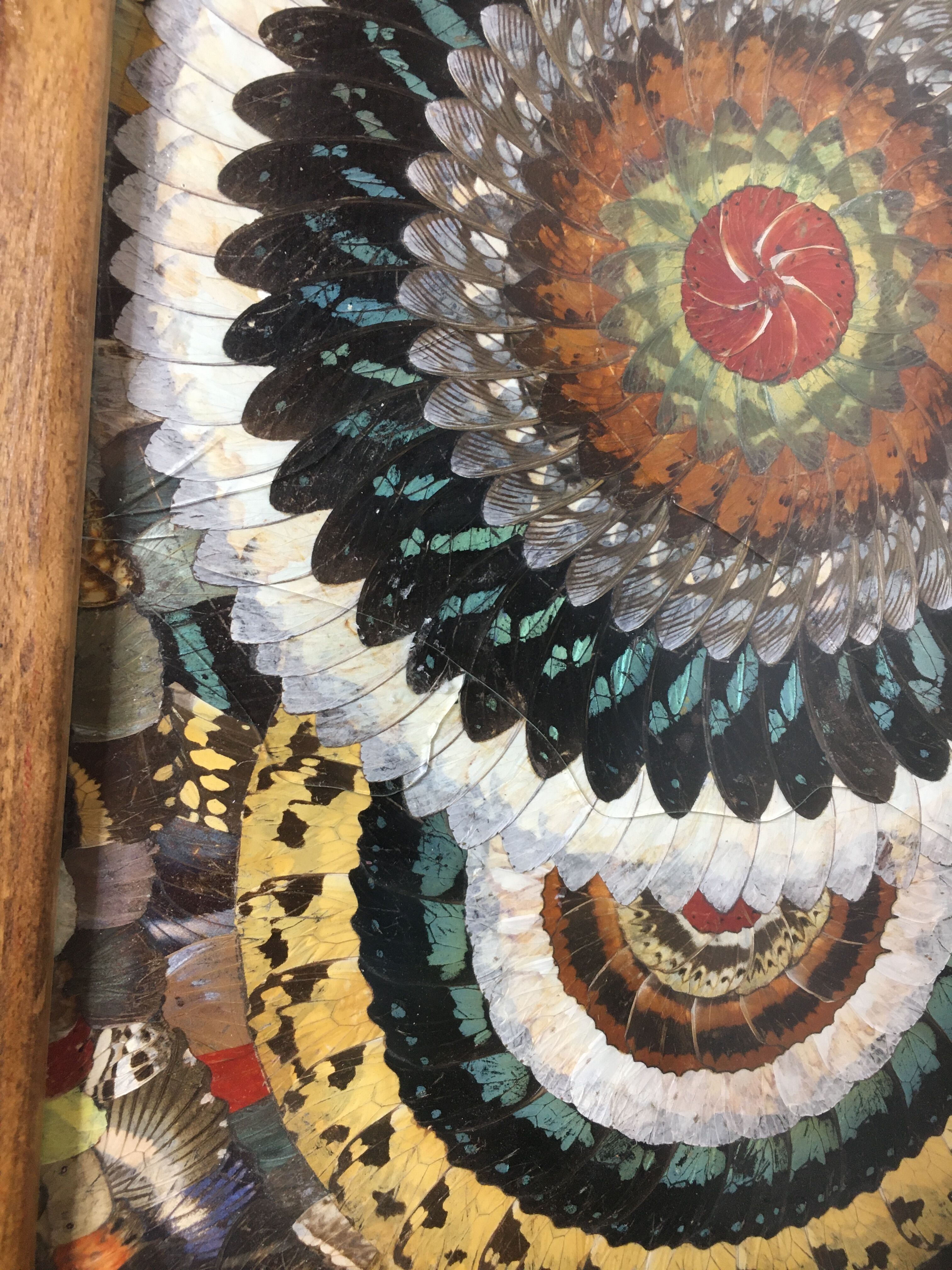 Craft butterfly wings service dish