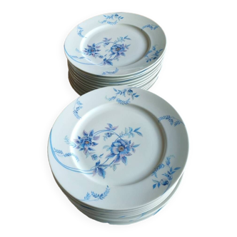 Lot de 12 Assiettes en porcelaine