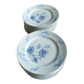 Set of 12 porcelain plates