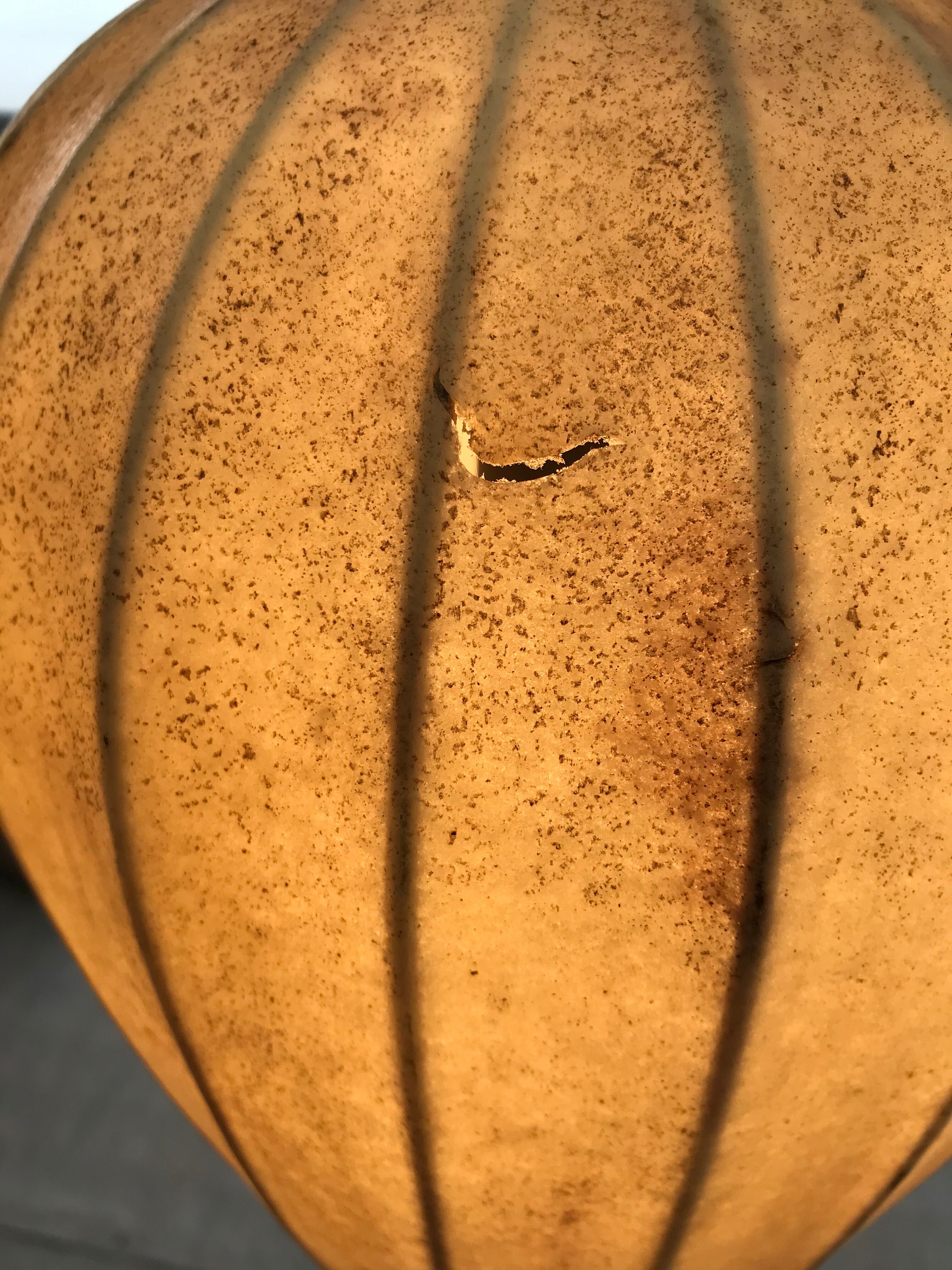 Hanging cocoon Italy circa 1960