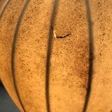 Hanging cocoon Italy circa 1960