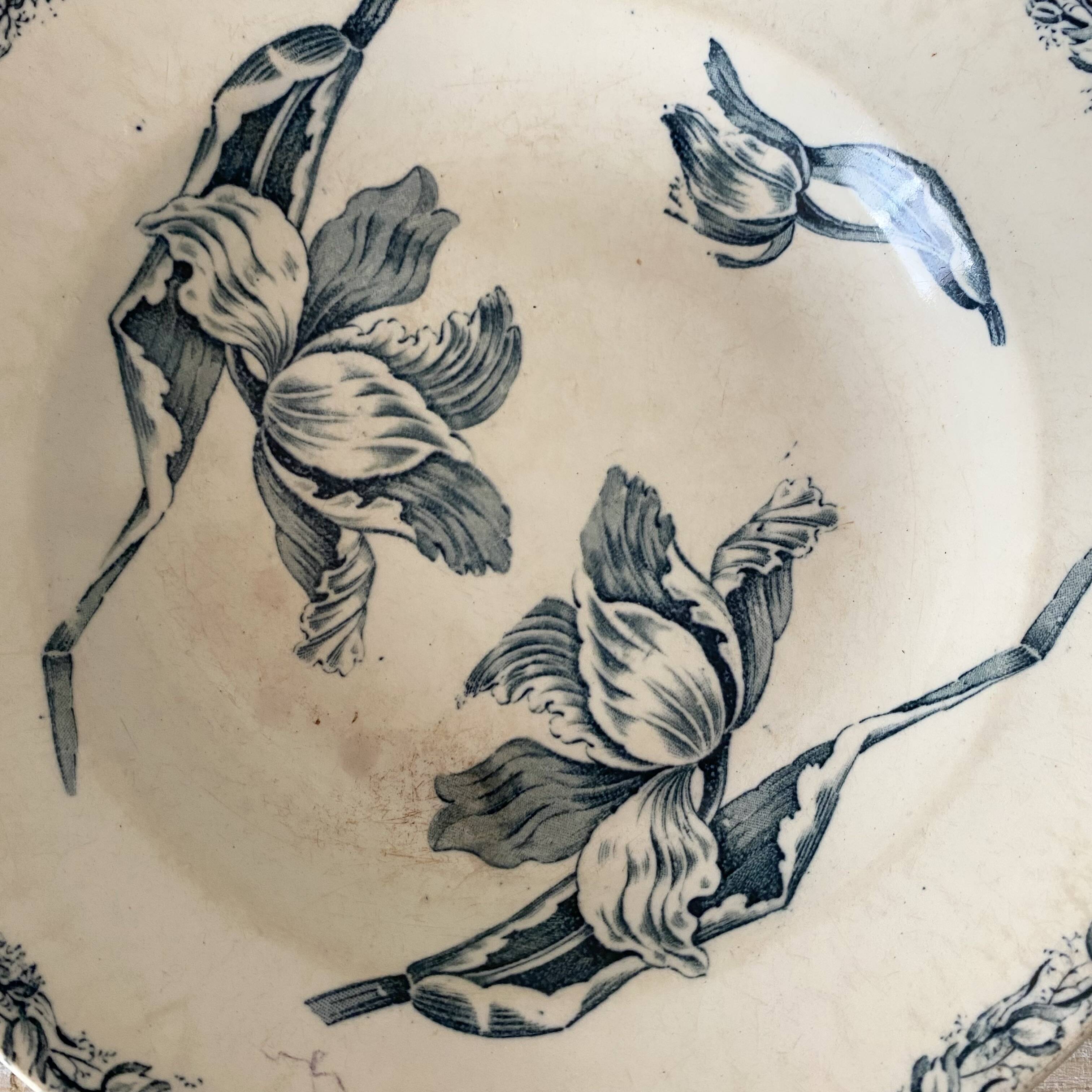 Luneville Tulips ironstone soup plates