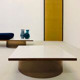 Ensemble de salon bois et altuglas 1970