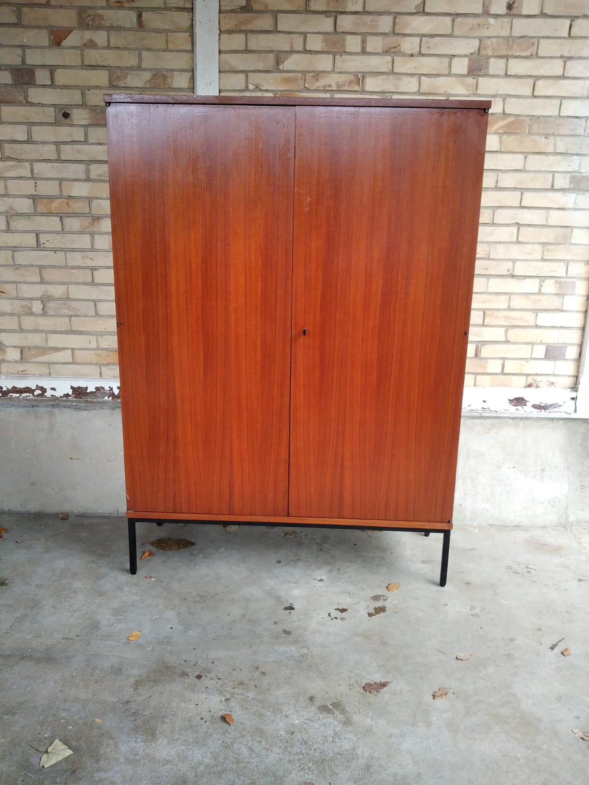 Vintage scandinavian modernist wardrobe 1950