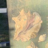 Large painting of shells, cabinet of curiosities, sign, vintage