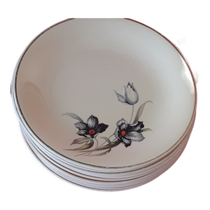 10 assiettes creuses ceranord st