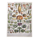 Vintage lithograph plate vegetables and plants from the vegetable garden 1900